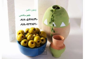 زیتون دلفین