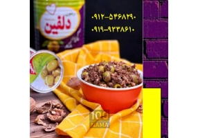 زیتون دلفین