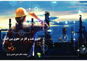 وکیل تجاری و مهاجرت دکتر امین امینی زارع