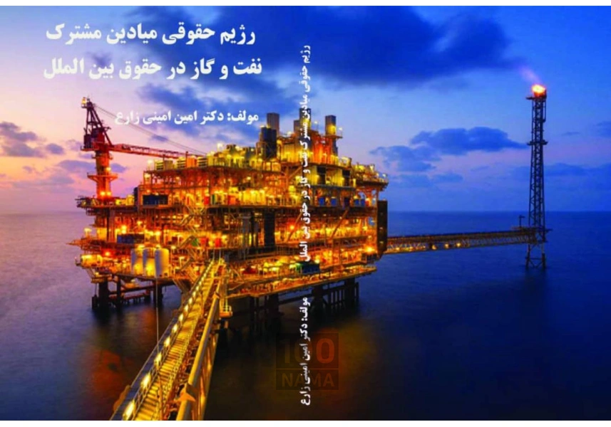 وکیل تجاری و مهاجرت دکتر امین امینی زارع