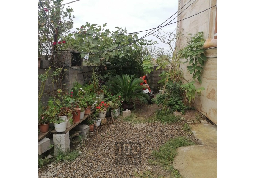 اجاره روزانه ویلا نزدیک ساحل