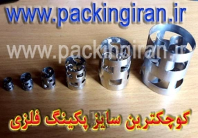 پال رینگ استیل و راشینگ استیل