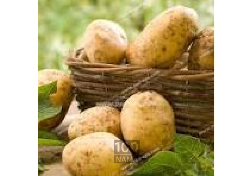 تولید کننده سیب‌زمینی همدان