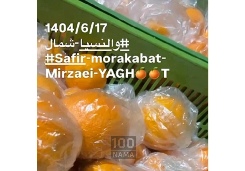 فروش پرتقال والنسیا مازندران