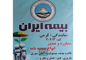 صدور انواع بیمه نامه ایران 