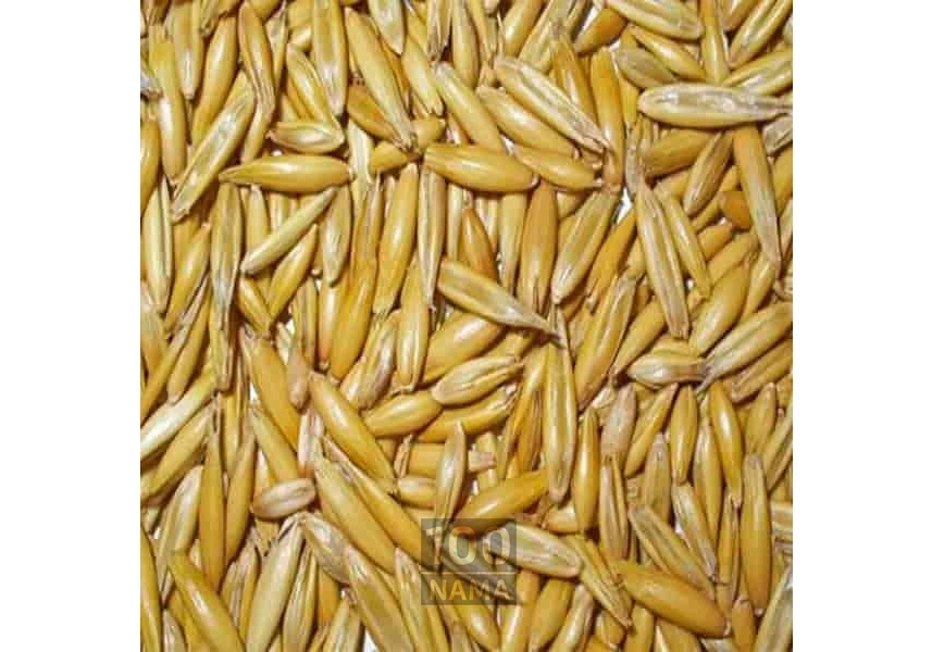 تهیه و توزیع نهاده های دامی