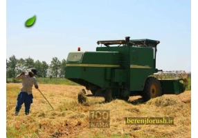 عرضه کننده برنج طارم