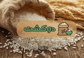 خرید برنج سرلاشه معطر و باکیفیت در ساری