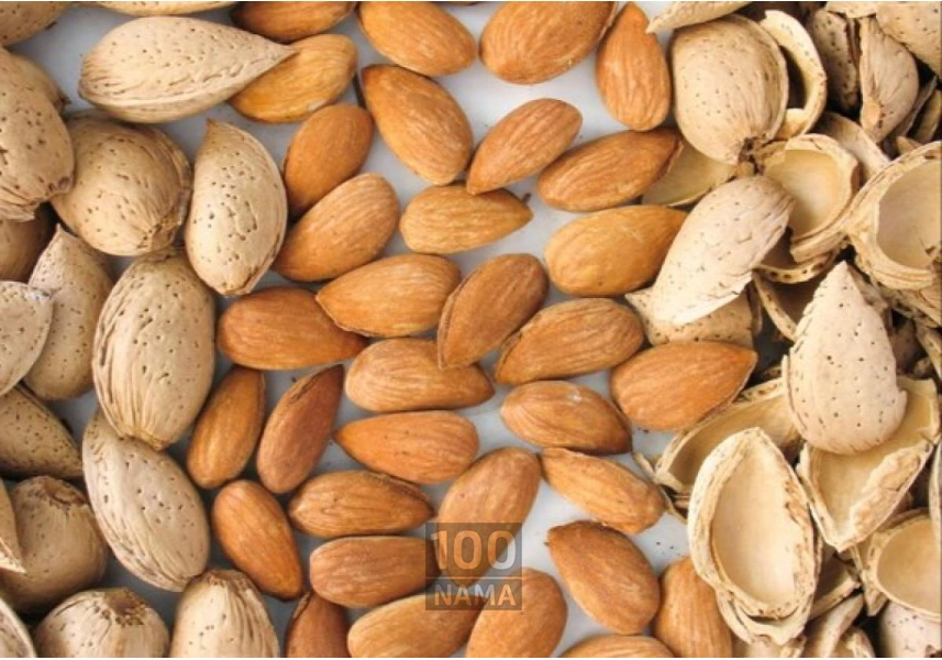 عرضه کننده گردو و بادام در اصفهان
