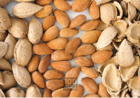 عرضه کننده گردو و بادام در اصفهان