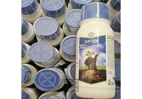 ولوم هندی بایر و پگاسوس سینجنتا