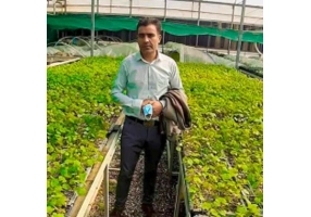 فروش نهال های پایه رویشی و لیبل آبی فروش نهال های پایه رویشی و لیبل آبی