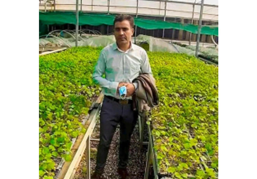 فروش نهال های پایه رویشی و لیبل آبی