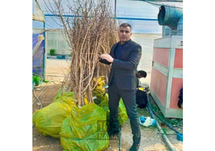 فروش نهال های پایه رویشی و لیبل آبی