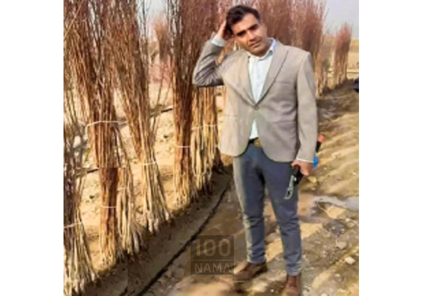 فروش نهال های پایه رویشی و لیبل آبی