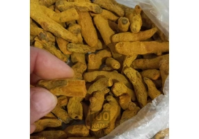 فروش زردچوبه هندی با کیفیت و قیمت رقابتی