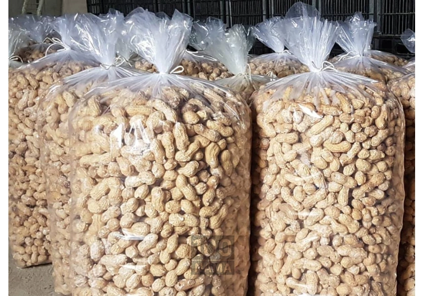 انواع بادام زمینی بازرگانی بادرام