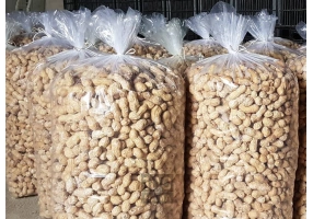 انواع بادام زمینی بازرگانی بادرام