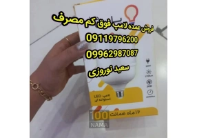 پخش عمده لامپ فوق کم مصرف در سنندج