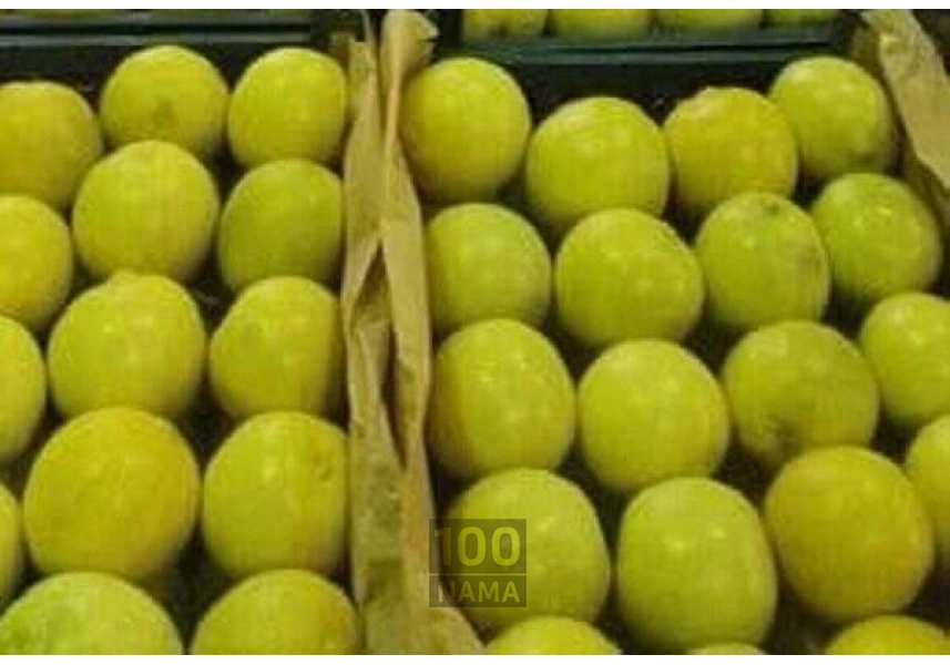 فروش عمده لیمو شیرین در جهرم