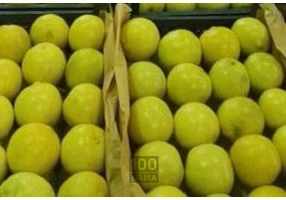 فروش عمده لیمو شیرین در جهرم