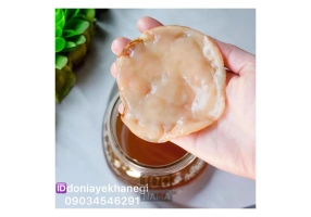 فروش قارچ کامبوجا