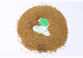 فروش بذر یونجه رنجر آمریکایی