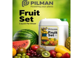 فروت ست پیلمن Fruit set pilman