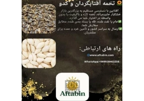 تأمین کننده تخمه آفتابگردان و کدو از خوی