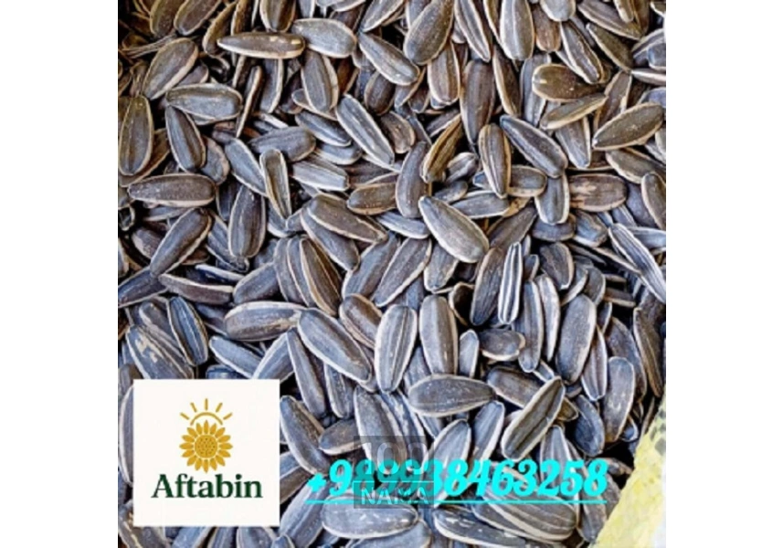 تأمین کننده تخمه آفتابگردان و کدو از خوی