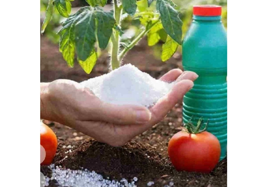 هیدروژل کشاورزی با کارایی بالا و قیمت مناسب