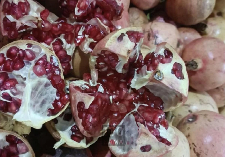 نهال انار پوست سیاه