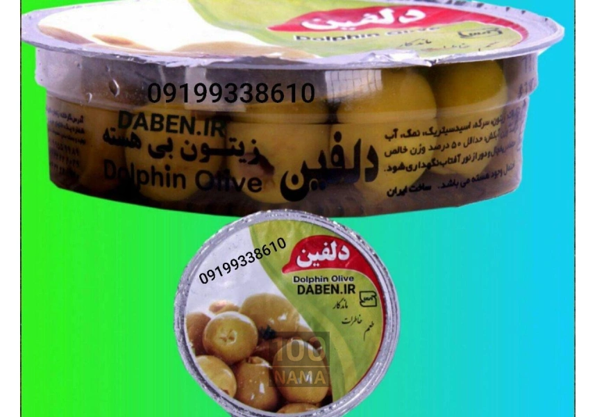 زیتون شور بی هسته دلفین