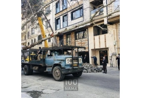 جابجایی درخت