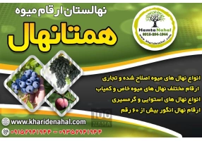 فروش انواع نهال میوه اصلاح شده