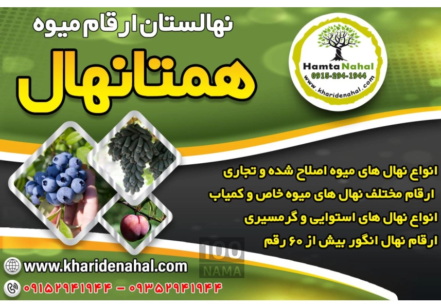 فروش انواع نهال میوه اصلاح شده