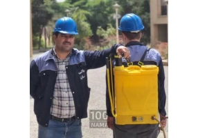 سمپاشی سوسک ریز بدون بو 