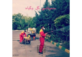 سمپاشی آسایش