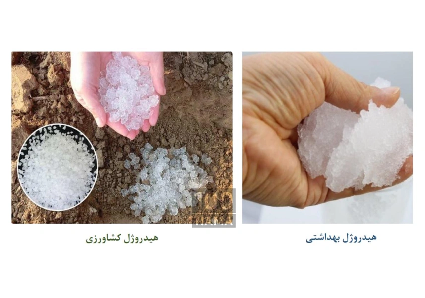 شرکت نانو سازان جوان همراه کشاورزی نوین
