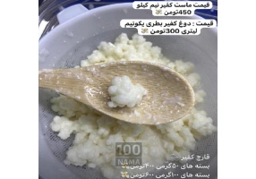 فروش قارچ کفیر در شیراز