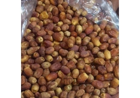فروش عمده خرما زاهدی