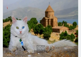 تور زمینی وان ترکیه از تهران