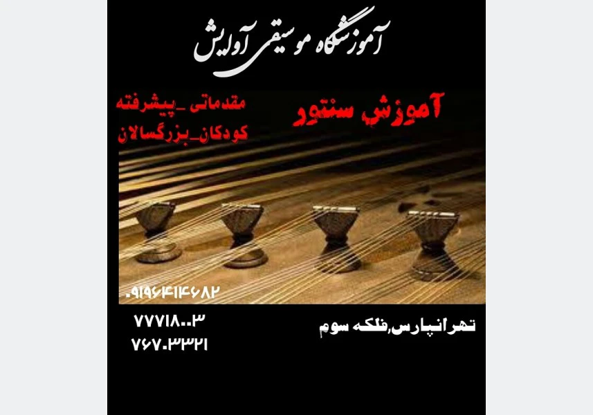 آموزش تخصصی سنتور در تهرانپارس aspect-image