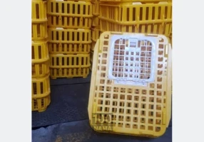 قفس پلاستیکی حمل مرغ زنده